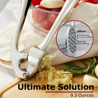 Kitessensu High Effective Garlic Press With Studs, Heavy Duty Garlic Mincer, Easy to Squeeze and Clean, Rust Proof, Ginger Crusher- Imperial Silver
