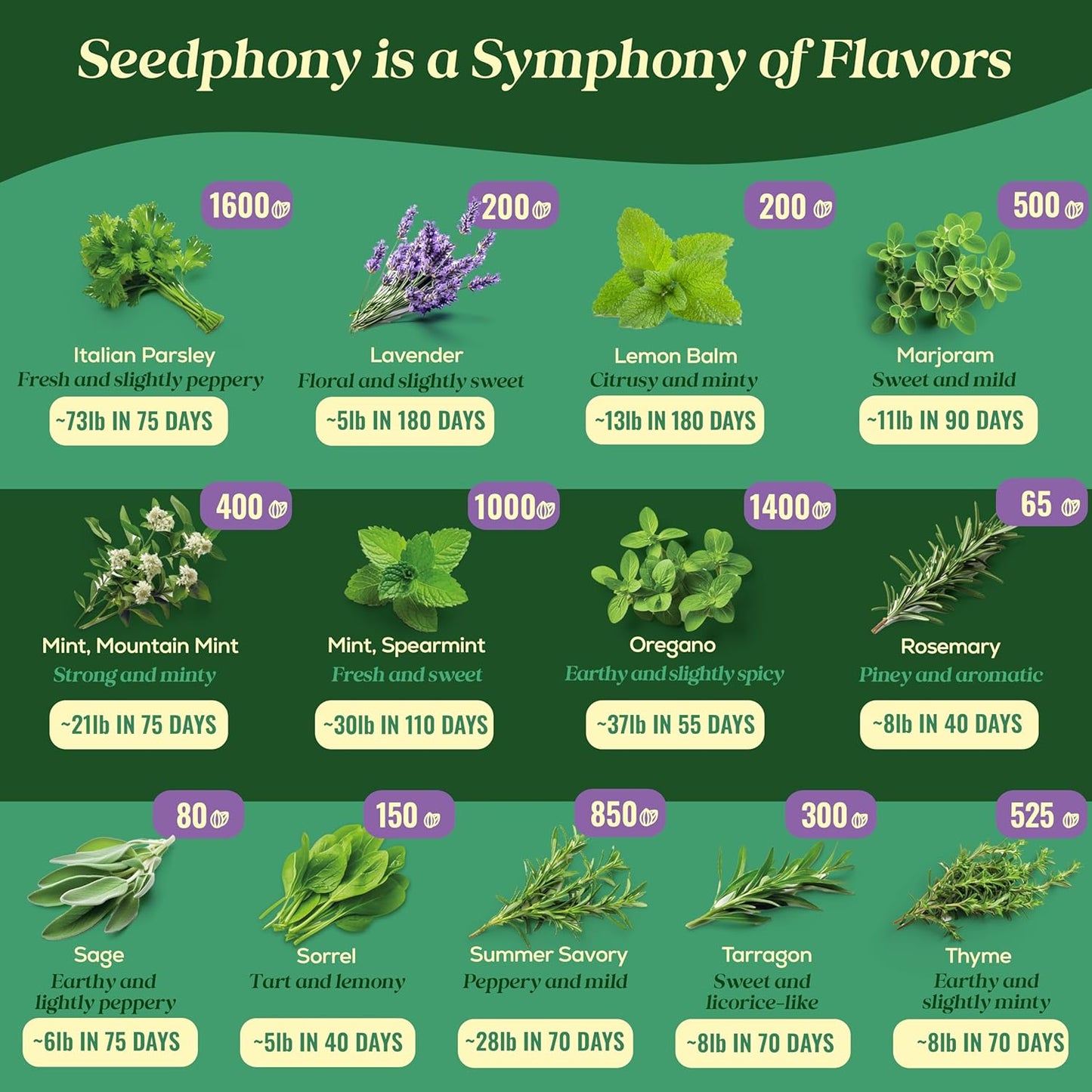 25 Pack 13,055+ Culinary Herb Seeds Variety - Non-GMO Heirloom Herbs Seeds for Planting Indoor & Outdoor: Rosemary