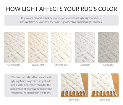 SAFAVIEH Area Rug 8x10 - Moroccan Tassel Shag Collection - Large - Ivory, Non-Shedding & Easy to Clean, Plush High-Low Texture, Ideal for Living Room, Bedroom, Dining Space (MTS688C)