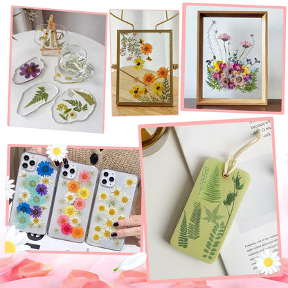 210 Pcs Dried Pressed Flowers for Resin, Dried Pressed Flowers for Crafts, Bulk Natural Dried Flowers Kit with DlY Butterfly Stickers&Tweezers for Resin Molds, Candles, Soap,Jewelry Making, Art Crafts