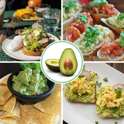WodGod Guacamole Keeper(2 Pcs), Guacamole Bowls, Avocado Keeper Fresh Guacamole Plastic Kitchen Storage Container with Air Tight Lid, 3-in-1 Avocado Slicer*2 and 2 Cleaning sponges