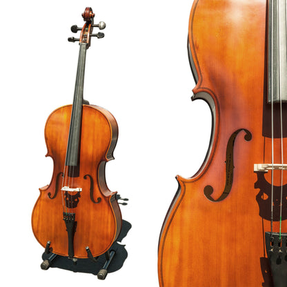 Paititi PTTCE101T Ebony Fitted Oil Finish Wood 4/4 Cello with Soft Case, Bow, Rosin, Stopper and Mute