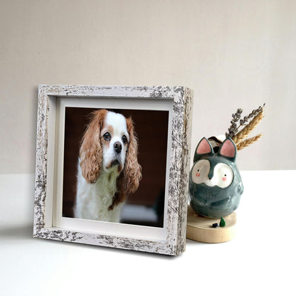 Houstimi Rustic 8x8 Shadow Box Frame White Shadow Box Display Case Made of Solid Wood and Real Glass Internal Depth 0.6 inches for Wall Or Tabletop（3 Pack）