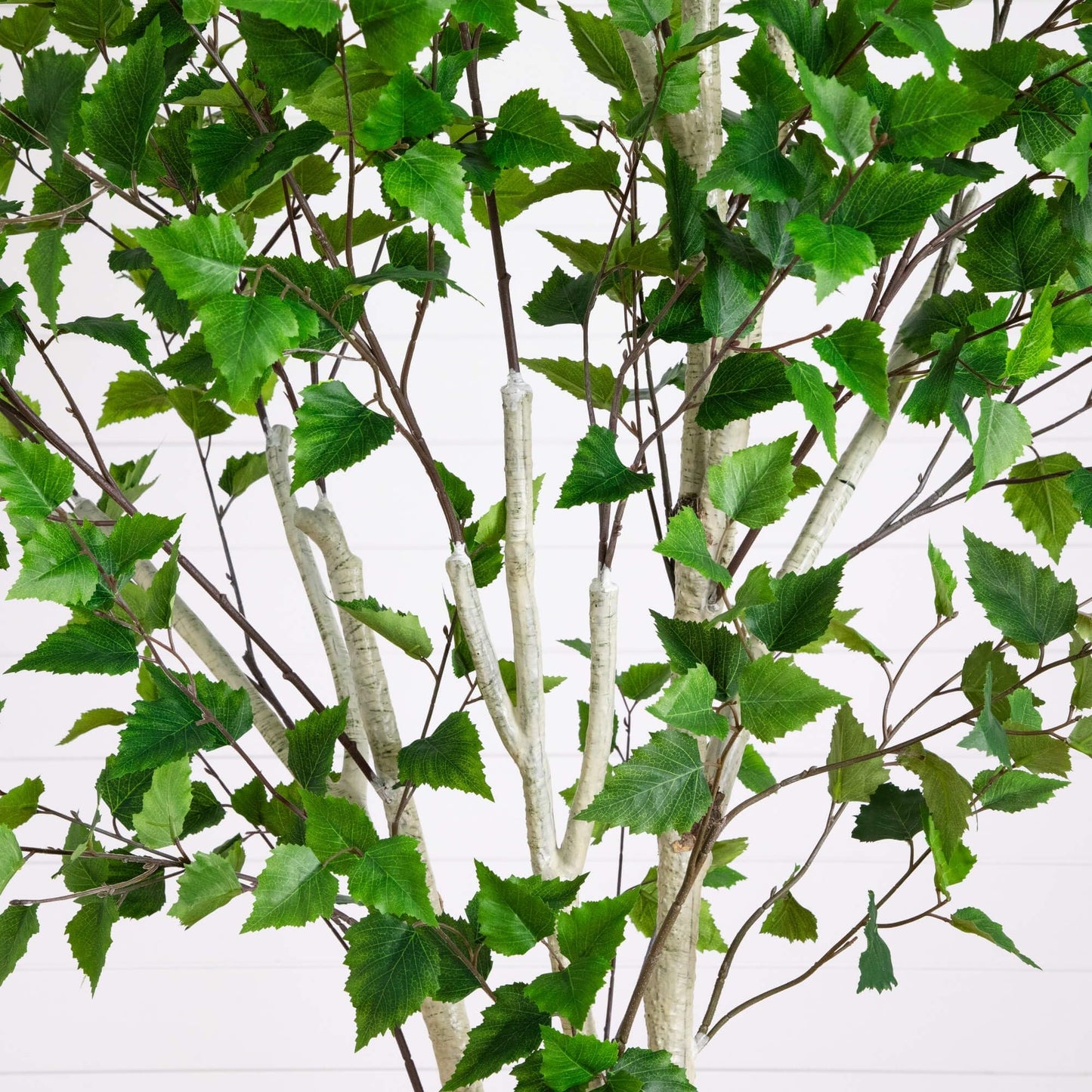 Nearly Natural 8ft Artificial Birch Tree with Real Touch Leaves - Indoor Fake Tree for Home Decor - Flexible Branches for Custom Look