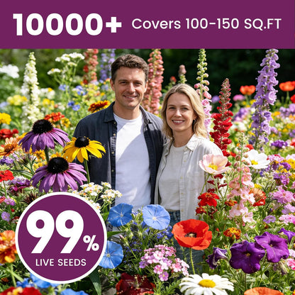Wildflower Seeds - 10,000+ Bulk Butterfly & Hummingbird Mix | 21 Varieties of Heirloom Perennials & Annuals