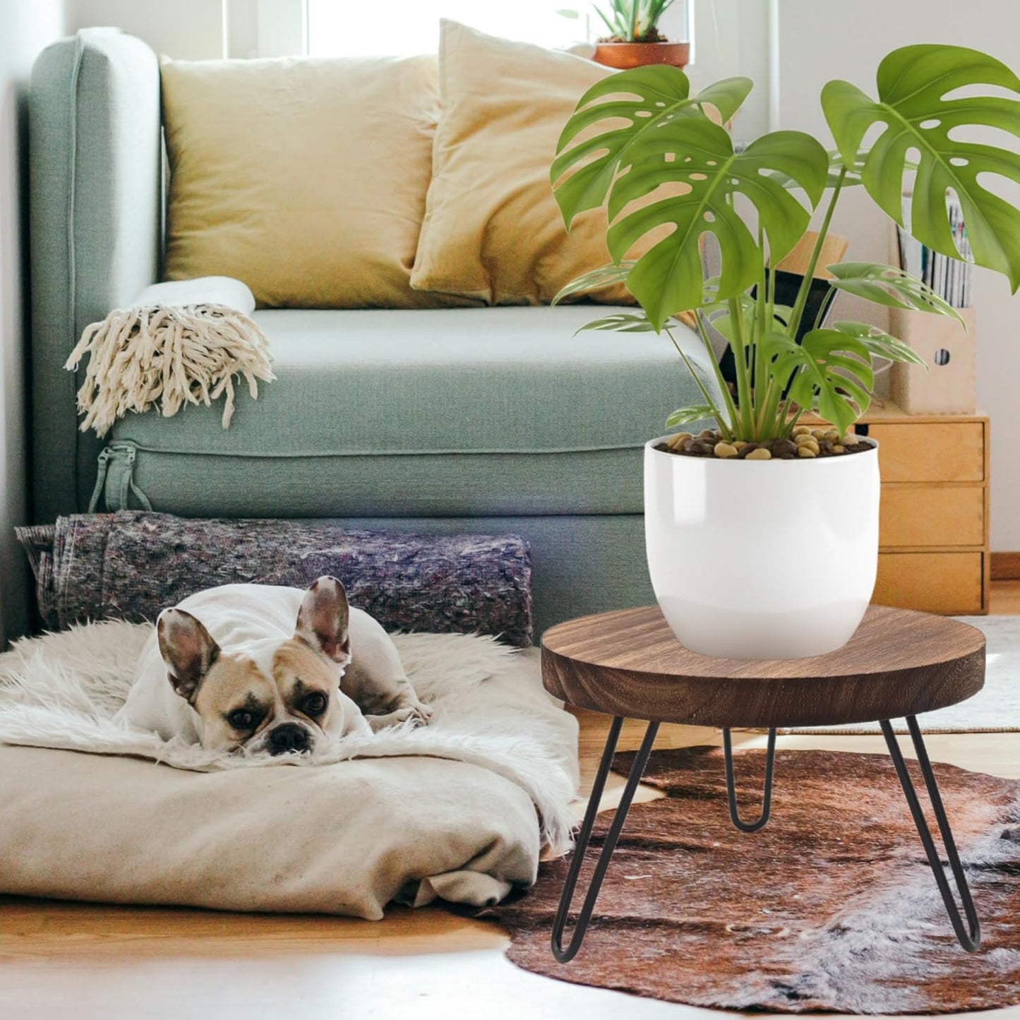 8'' 5-10 Inch Wood Plant Stand Indoor Outdoor, Wooden Planter Stands Fit Pot, Plant Stool Flower Pot Stand Gardening
