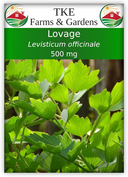 500 140 Packet 1 TKE Farms & Gardens - Lovage Seeds for Planting, Mg, Heirloom Seeds, Non-GMO, Includes Instructions