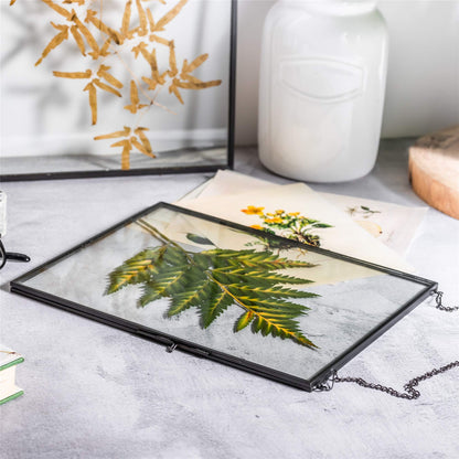 NCYP Hanging 8" x10" Black Glass Floating Frame for Pressed Dried Flower, Certificate, Photo, Picture - Modern Home Indoor Wall Vertical Decor, Plant Specimen Clip (Glass Frame Only)