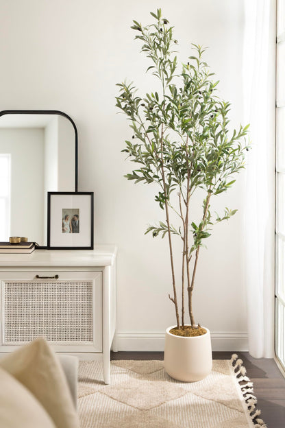 Kate and Laurel Oliveira Faux Olive Tree with Jia Curved Planter Pot, 7 FT, Cream, Potted Artificial Tree Indoor with Realistic Foliage and Added Moss, Fake Plant for Living Room Decor