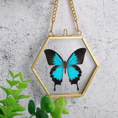 JUXYES 4 Pack Hexagon Mini Wall Hanging Brass Frames for Pressed Flowers, Double Glass Hanging Picture Artwork Display Frame, Gold Floating Style Gallery Wall Frame for Picture, Poster, etc
