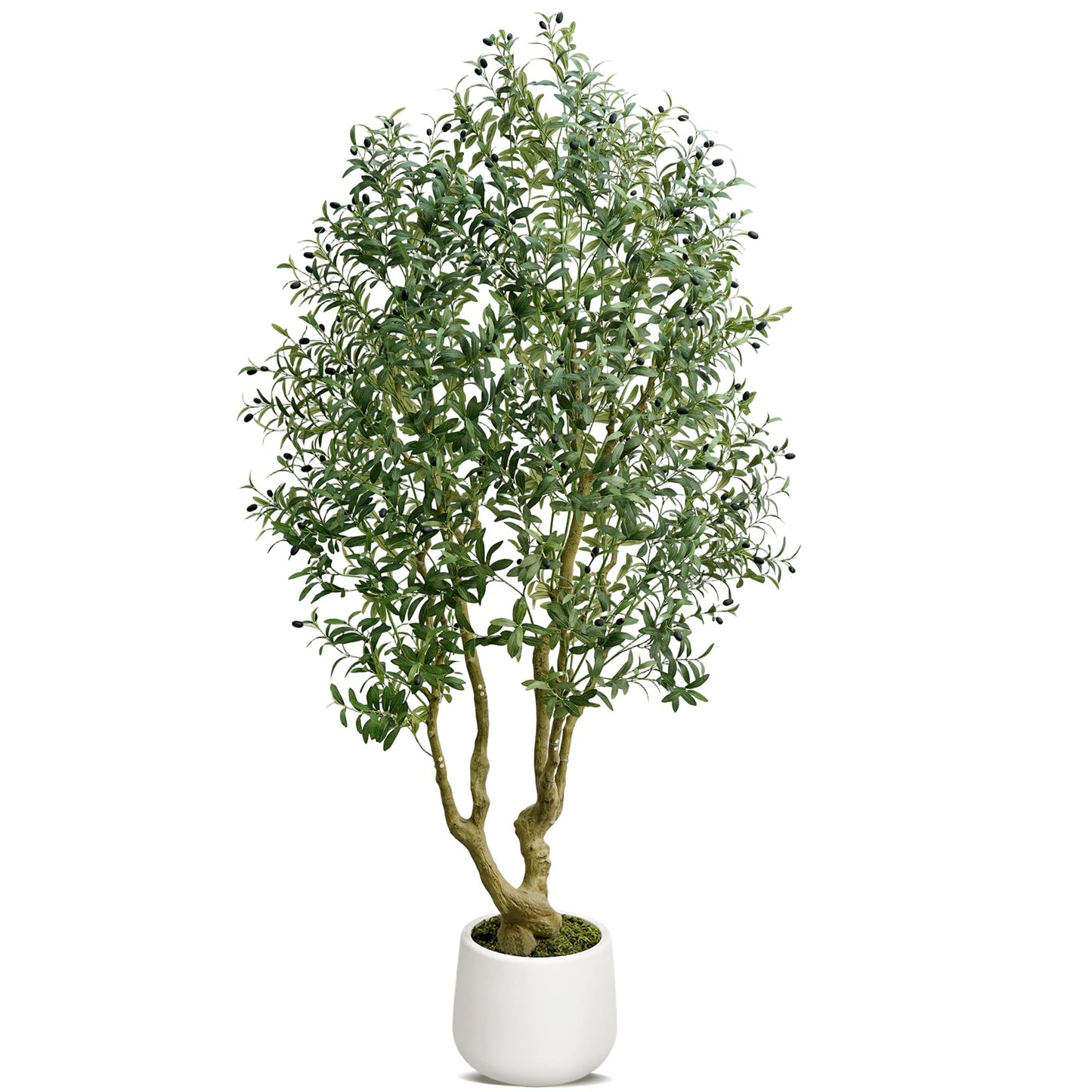 HZXGCP Olive Tree 6ft, Artificial Olive Tree with White Pot, Fake Tree with 1296 Dense Leaves & 72 High-Simulated Olive Fruits - Easy Assembly, Low Maintenance (8FT with Pot)