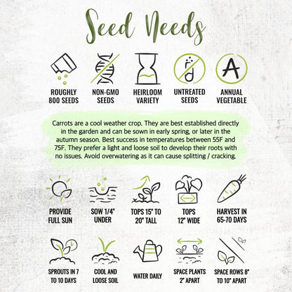 (5 Packs) Seed Needs Carrot Seeds for Planting Rainbow Carrots - Non-GMO Heirloom & Untreated Veggie Seed to Grow a