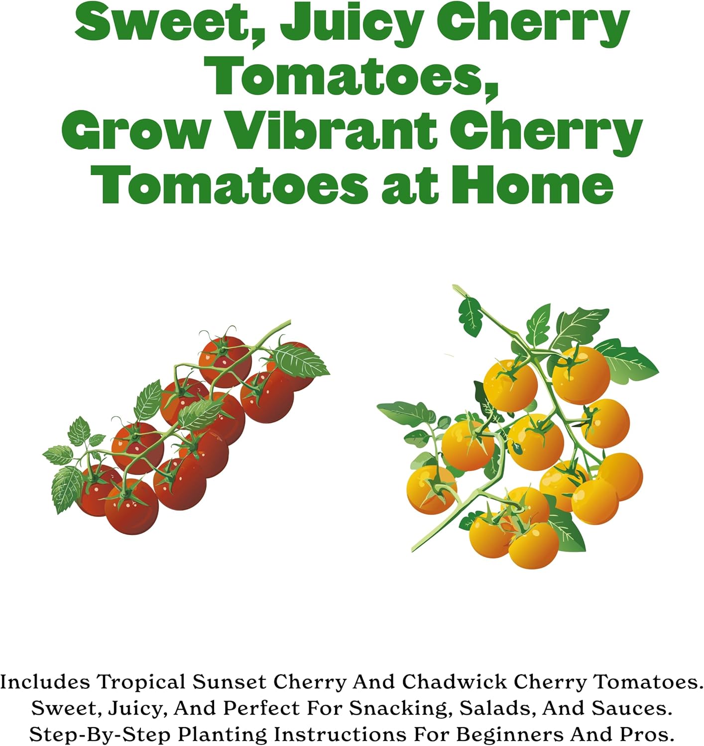 2 Sunset Epic Gardening Cherry Tomato Seed Bundle - Sweet & Juicy Varieties, Includes Tropical & Chadwick Cherry