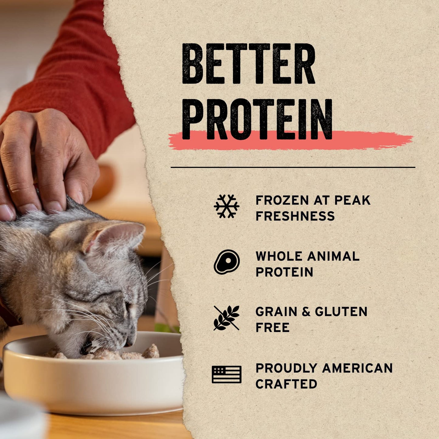 Vital Essentials Minnows Cat Treats, 0.5 oz | Freeze-Dried Raw | Single Ingredient | Grain Free, Gluten Free, Filler Free