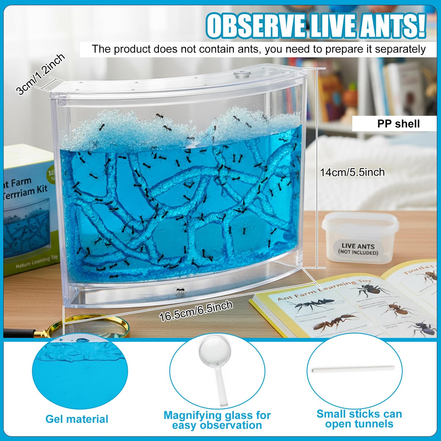 Acellegic Ant Farm Terrarium Kit Giant Ant Farm Large Viewing Area Care for Live Ants Nature Learning DIY Kit Great Gift(Classic Style,Blue)
