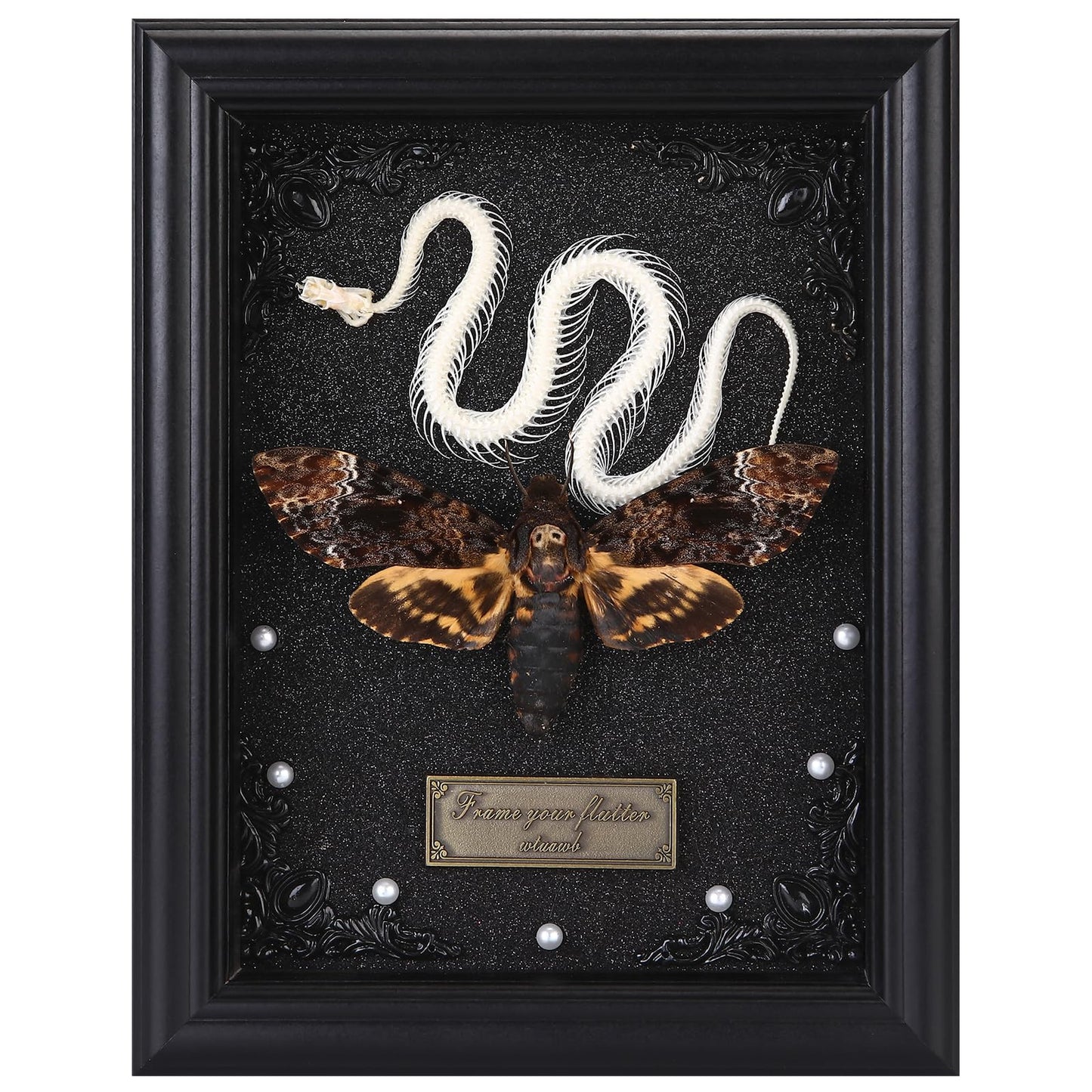 Real Death Head Moth Framed with Snake Skeleton, Gothic Insect Specimen Display in Shadow Box, Taxidermy Collectables Wall Art Home Decor