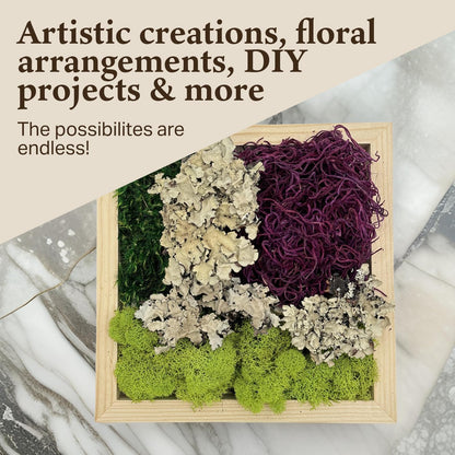 Quality Growers - The Moss Collection Variety Pack - Natural Decorative Moss - Crafts, Home Decor, Art, Design & DIY Projects - Non-Toxic - Made in USA - Red Mix, Medium, 2-Pack