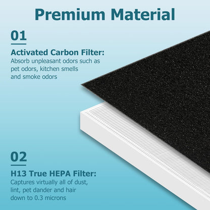 Improvedhand C545 Replacement Filter S for Winix C545 Air Purifier, 2 Pack H13 True Filter and 8 Activated Carbon