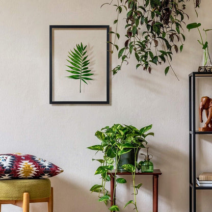 ONE WALL 18x24 Inch Floating Frame, Black Wood Double Glass Float Picture Frame Display 11x14/11x17/12x18/13x19/16x20 Photos Plant or Petal Specimens for Wall Hanging - Mounting Kit Included