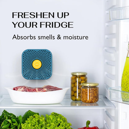 Fridge Deodorizer Odor Eliminator - Activated Charcoal Air Freshener for Refrigerator & Freezer, Natural Odor Absorber