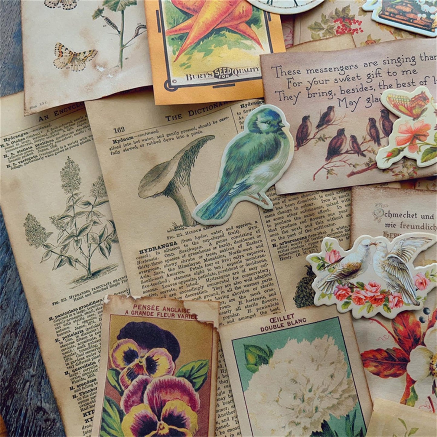 QCTC Junk Journal Vintage Botanical Ephemera, Handcrafted Coffee-Dyed Paper for Scrapbooking, Rustic Nature-Themed DIY Craft Supplies