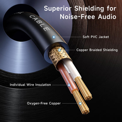 Cable Matters 2-Pack Premium XLR to XLR Cables - 6ft, Male to Female Microphone Cable, Oxygen-Free Copper (OFC) Mic Cord, Black