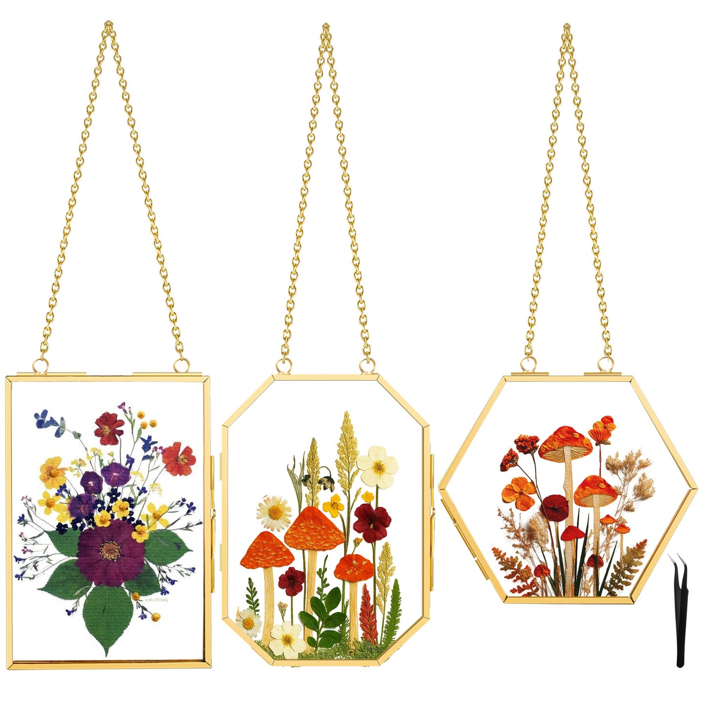BABUFINE Pressed Flower Frames with Tweezers, Wall Hanging Double Glass Picture Frames with Chain for Dried Flowers Plants Wall Decor,Only Frame (Gold-3PCS)