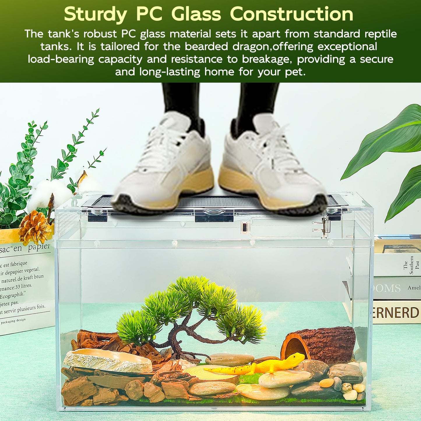 BINANO 12.5''×6''×7'' Reptile Tank Kit with Heat Lamp, Spray Bottle, Shovel, Tweezers, Food Bowl, Hideout -Perfect for Geckos, Snakes, Lizards, Turtles, Jumping Spider,Milk Frog,Hermit Crabs