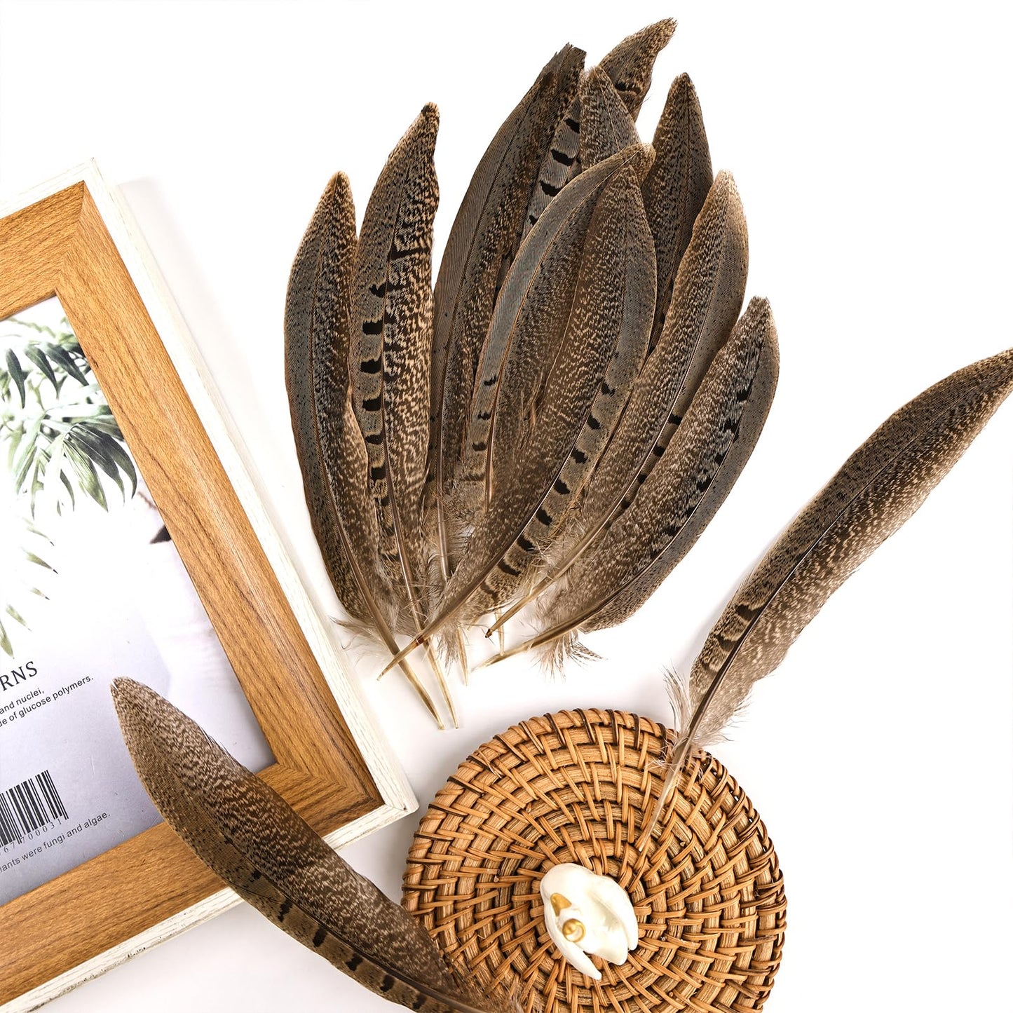THARAHT 24pcs Male Ringneck Pheasant Tails Feathers Natural Feathers 8-10inch 20-25cm for Crafts Home Wedding Party Performance DIY Decoration Male Pheasant Feathers