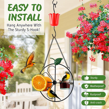 Dunkive Halves(Black,1 Pack) Baltimore Oriole Bird Feeder for Outdoors Oriole Feeder with Ant Moat & Glass Bowl & Ant
