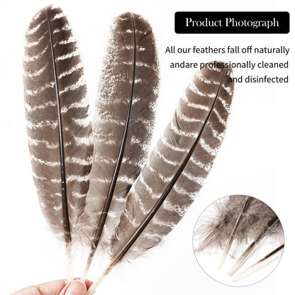 Daieeparty 12pcs Natural Color Wild Turkey Wing Feathers 12-14inch for DIY Crafts Home
