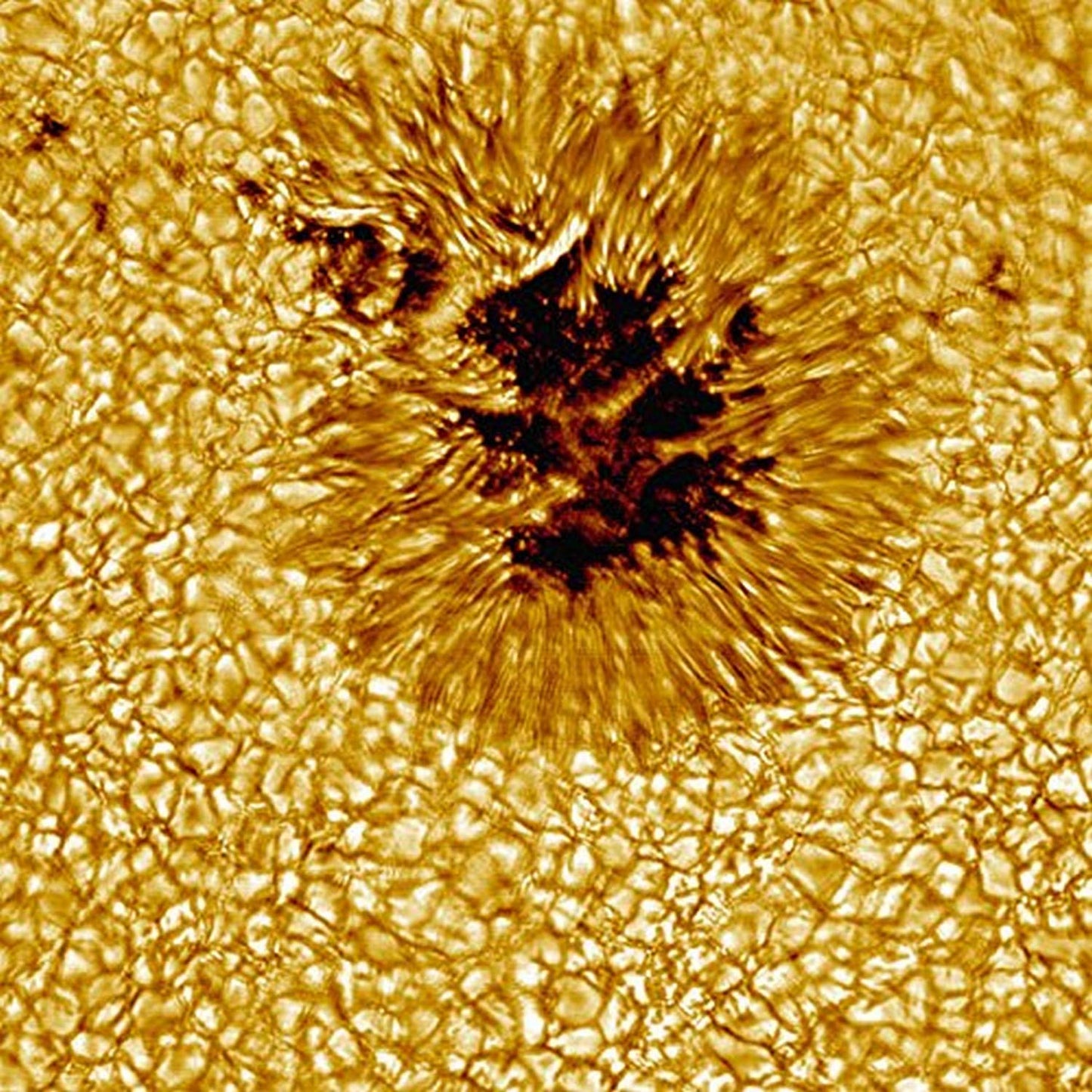 A close-up of a sunspot Poster Print by Stocktrek Images (16 x 16)