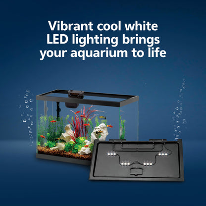 Aqueon Aquarium Starter Kit with Smart Clean Filtration and LED Lighting, Freshwater and Saltwater Fish, 20-Gallon