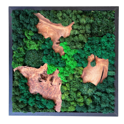 Serenzy 12" Square Cedar & Preserved Moss Wall Art | Unique No-Maintenance Decor for Home, Office, Restaurant, Natural Scattered Wood
