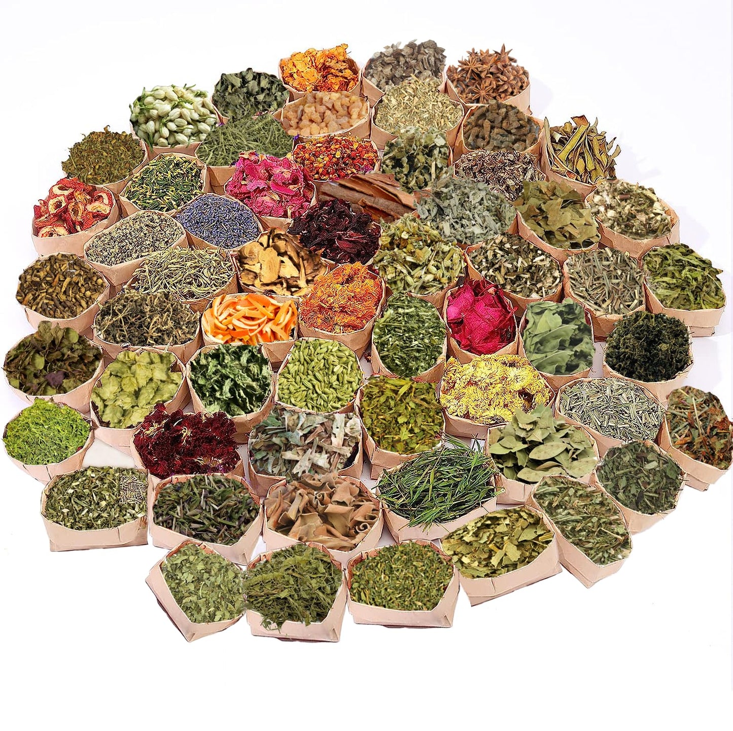 60 Pcs Labeled Dried Herbs and Flowers Kit for Witchcraft, Individually Packed Botanicals for Spell Jars, Altar Decor, Resin, Soap Making and Candle Decoration