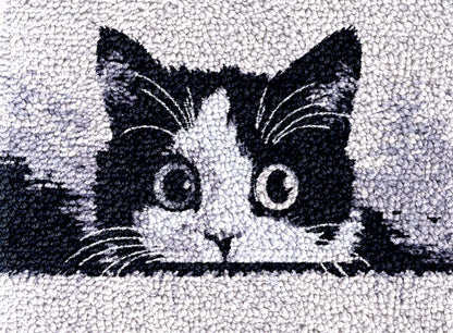 Black and White Cat Cute Latch Hook Rug Kit for Adults DIY Carpet Cushion with Printed Canvas Crochet Yarn Craft Hook and Latch Tapestry for Home Decor Pets Warm Pads 52x38cm(2)