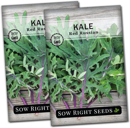 Packet (2) Sow Right Seeds - Red Russian Kale Seeds for Planting - Non-GMO Heirloom with Instructions to Plant a Home