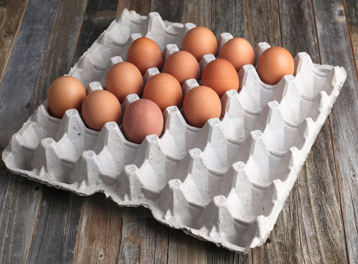 Biodegradable Pulp Fiber Egg Flats - 15 Pieces for Storing up to 30 Large or Small Eggs/Egg Crates That Make a Great Home for Roach Colony by MT Products