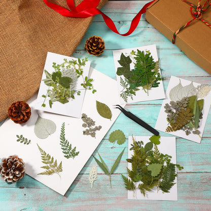 Timtin 84 Pieces Dried Pressed Leaves Flowers for Resin Mini Dried Flowers for Crafts Greenery Assorted for Art DIY Handmade Bookmarks 4 Bags(Vivid Style)