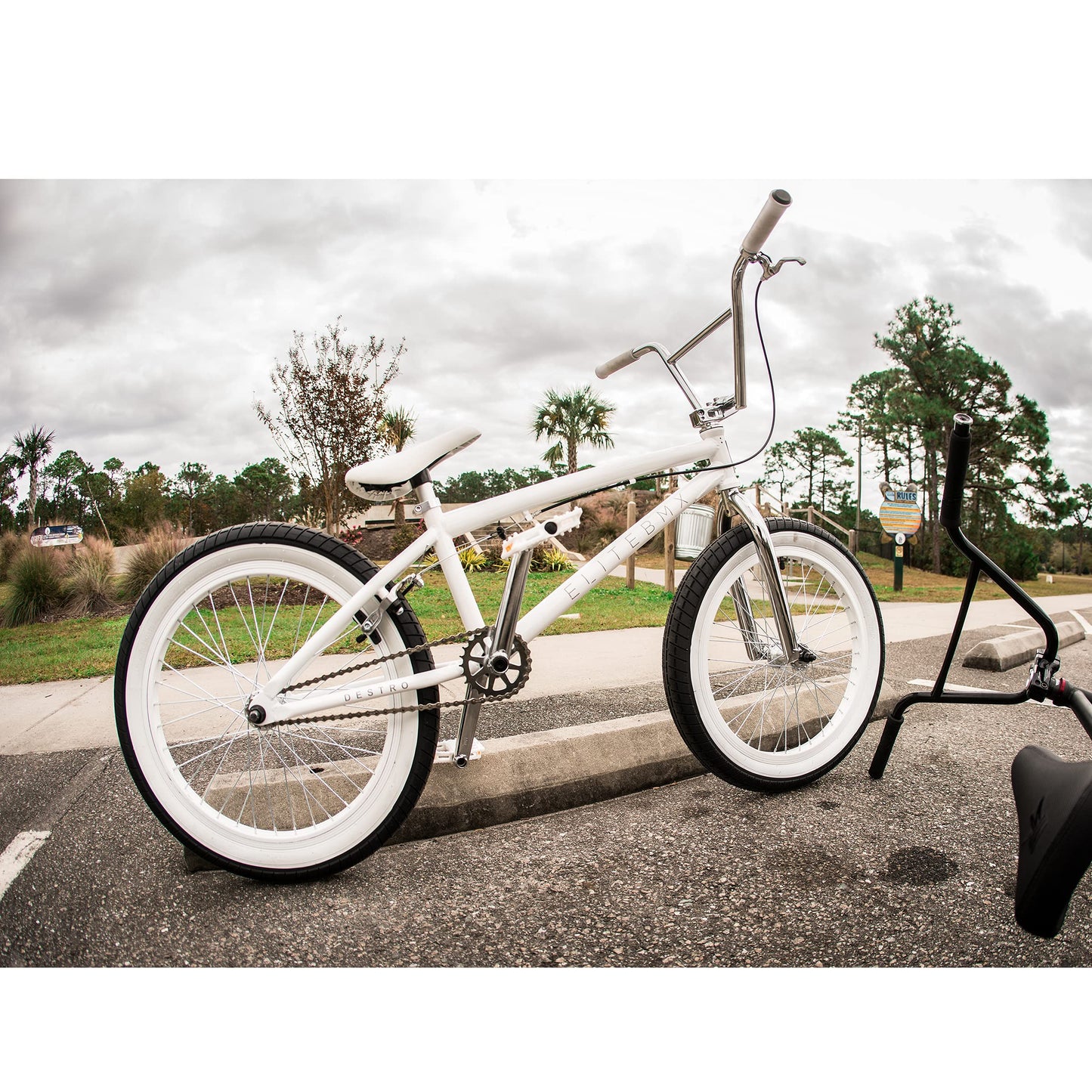 Elite BMX Bicycle 18", 20" & 26" Model Freestyle Bike - 3 Piece Crank (White, 20")