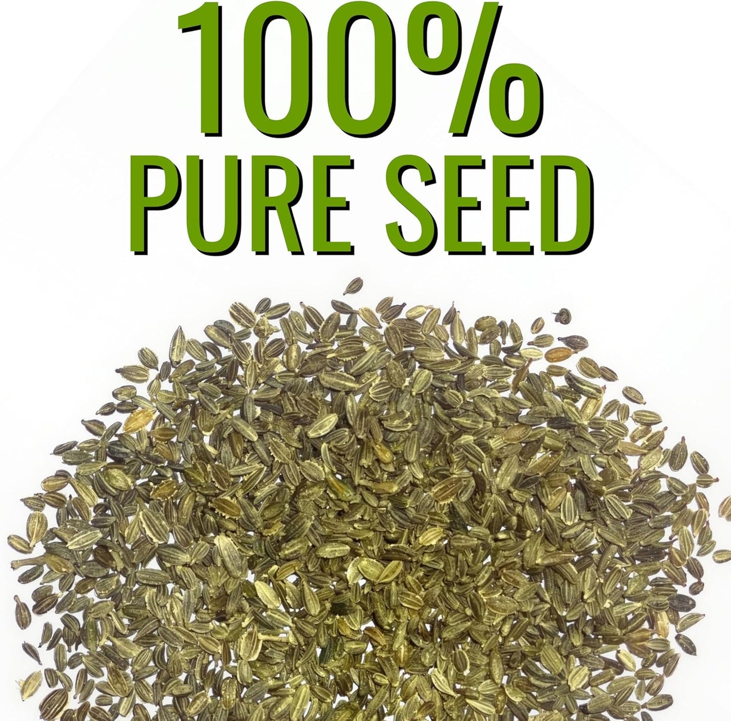 (5 Packs) Seed Needs Carrot Seeds for Planting Rainbow Carrots - Non-GMO Heirloom & Untreated Veggie Seed to Grow a