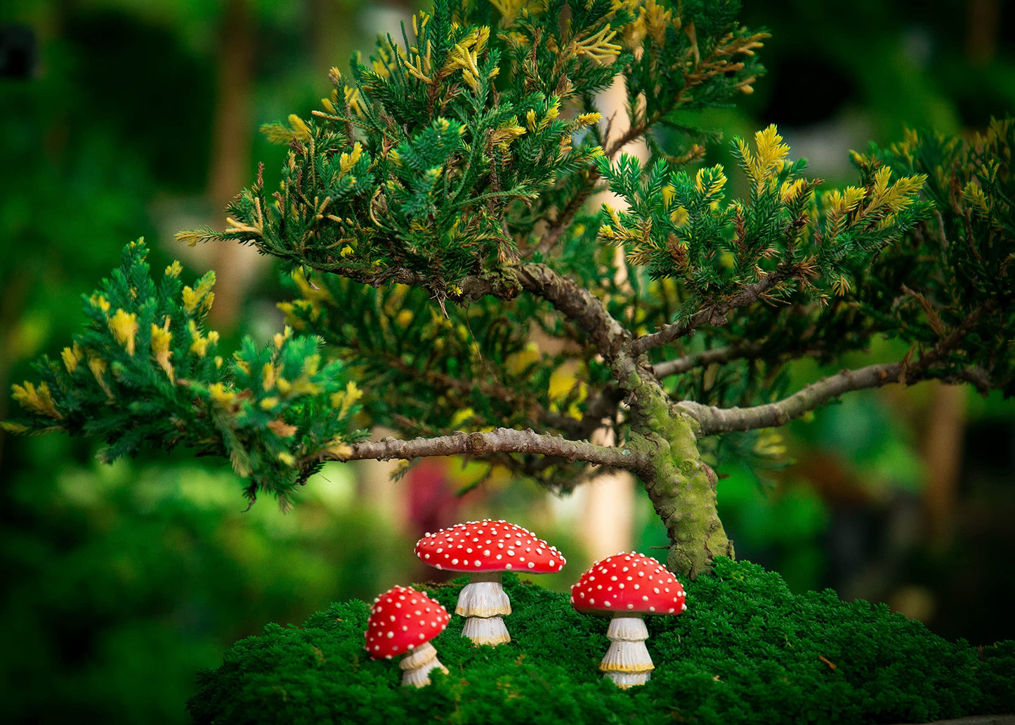 Tree Poetry Fairy Garden Miniatures, Mini Mushroom Figurines, Mushrooms Decor, Outdoor Mushroom, Fake Mushrooms, Mushroom Statue, Fairy Garden, Mushroom Garden Decor, Mushroom Outdoor
