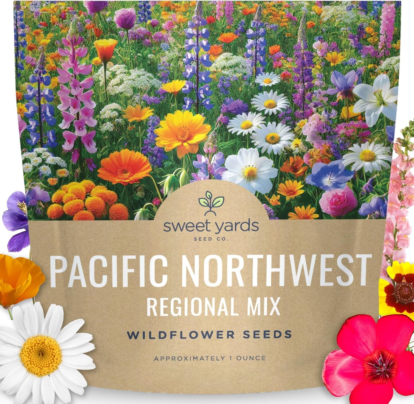 Pacific Northwest Regional Mix | Large 1 Ounce Packet of 24,000 Wildflower Seeds for Planting