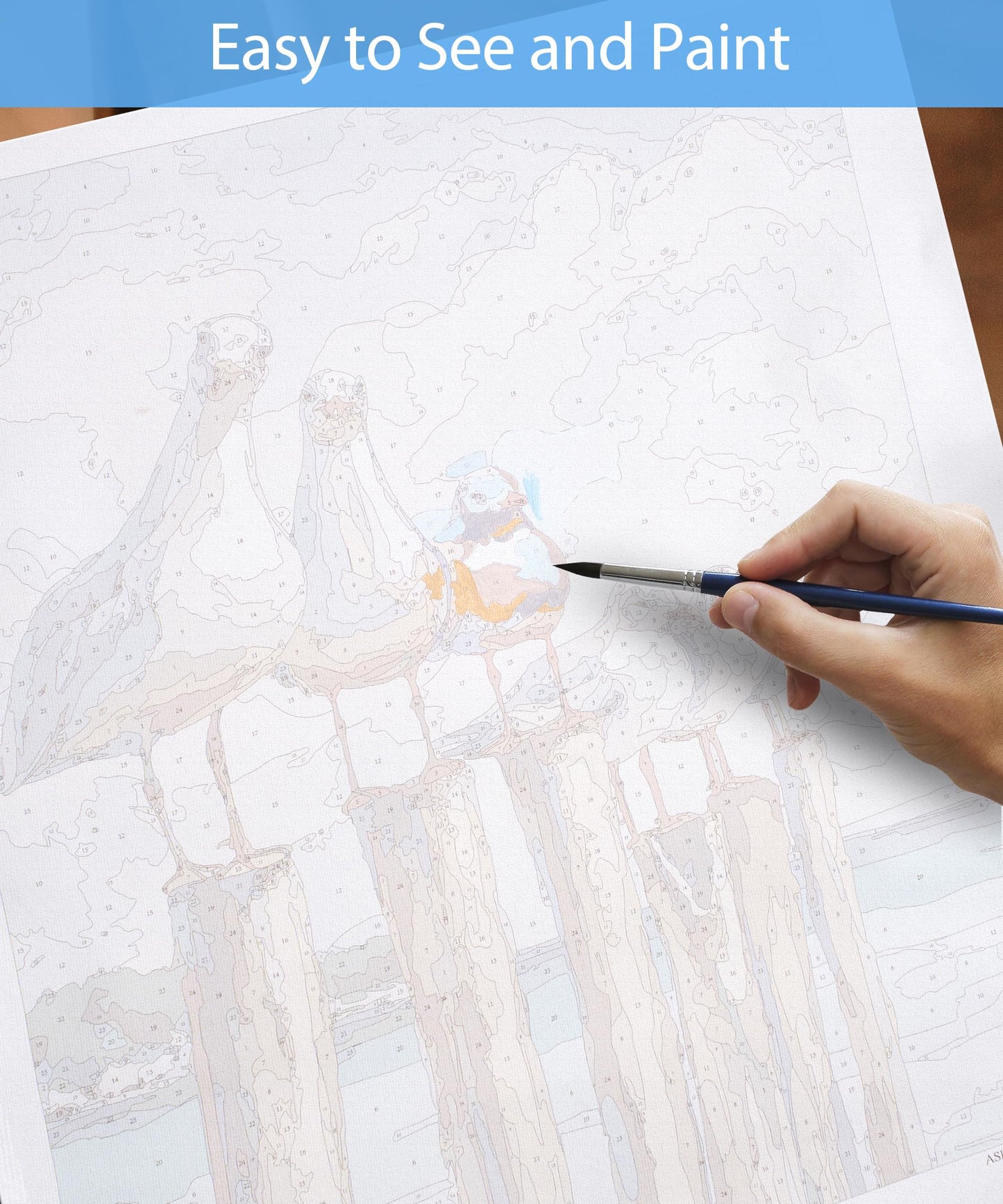 SUMGAR Paint by Numbers Kit for Adults Beginner, Ocean Beach Seagull Blue Sea Canvas Painting, Easy DIY Acrylic Paint by Number Coastal Nautical Wall Art Craft Kit Gift, 16x20 Inch (Without Frame)
