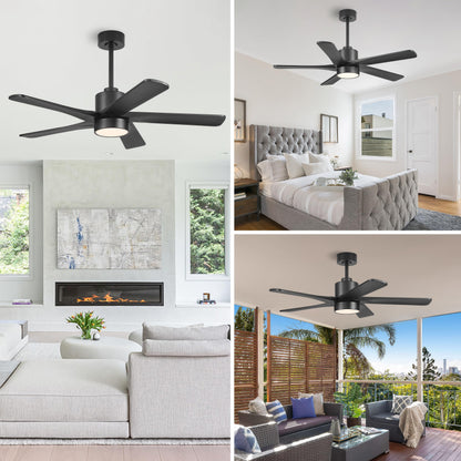 WINGBO 48 Inch DC Ceiling Fan with Lights and Remote Control, 5 Carved Solid Wood Blades, 6-Speed Noiseless Reversible DC Motor, Indoor Ceiling Fan in Matte Black Finish with Black Blades