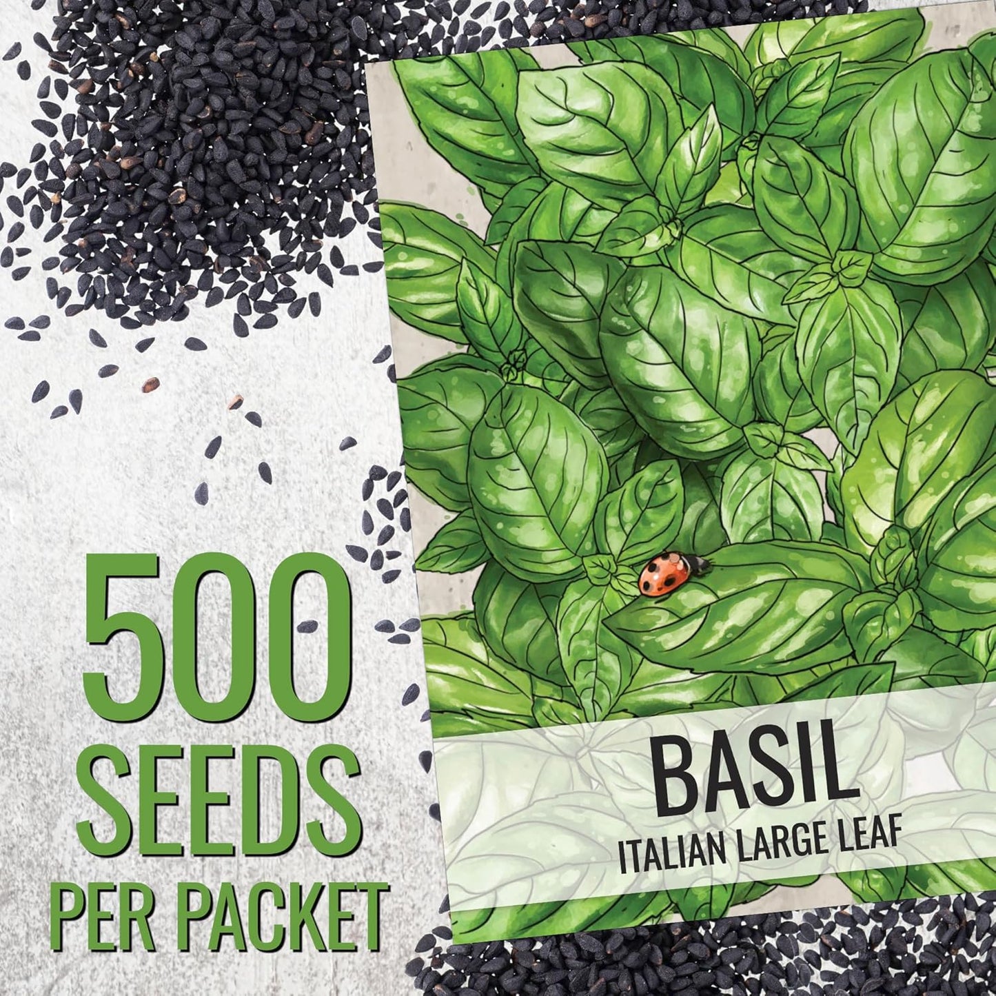 (20 Packs) Seed Needs Basil Seeds for Planting Italian Large Leaf Herbs - Non-GMO Heirloom & Untreated - Grow an Indoor
