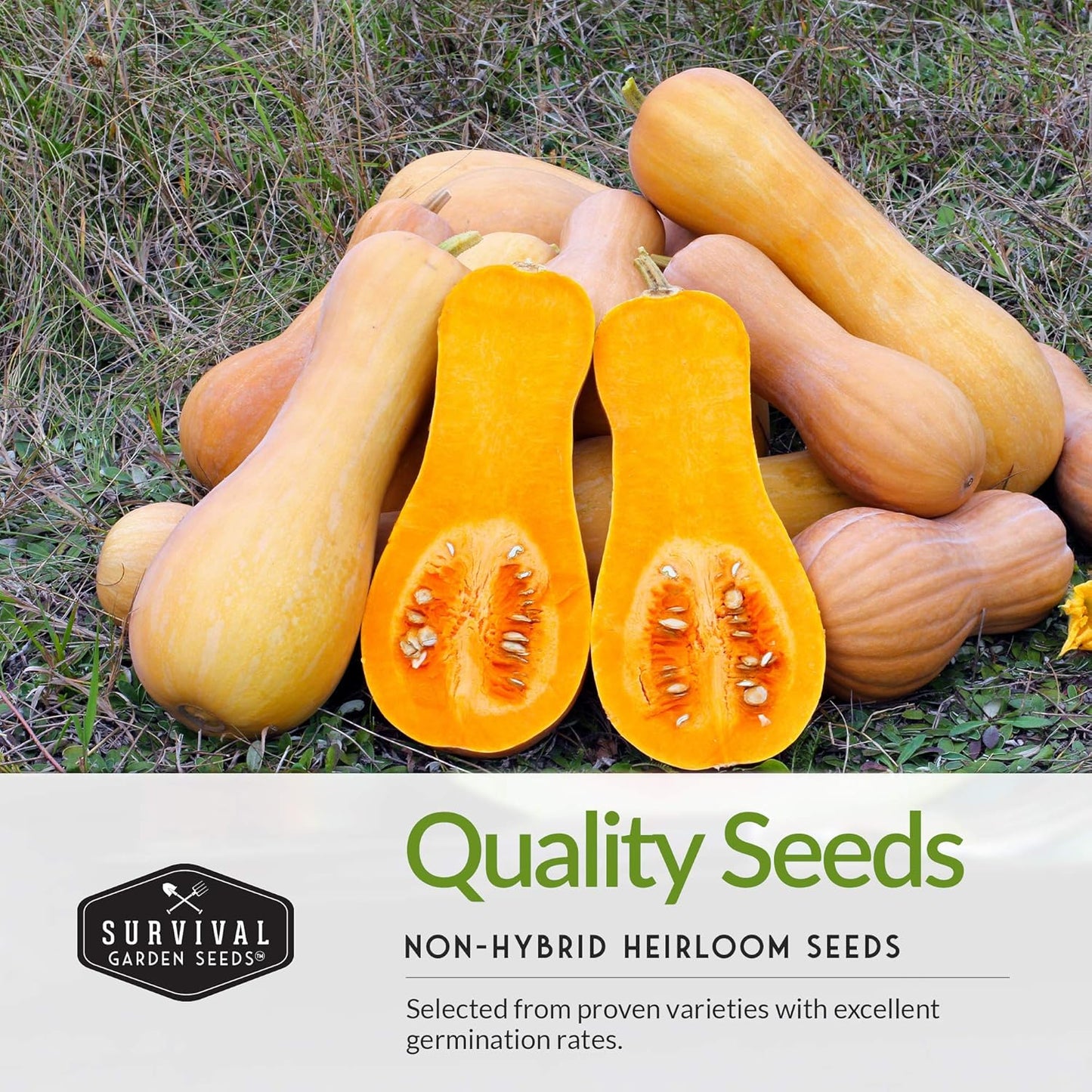 Three Sisters Collection Seed Vault - Non-GMO Heirloom Seeds for Planting Vegetables - Sweetcorn, Butternut Winter