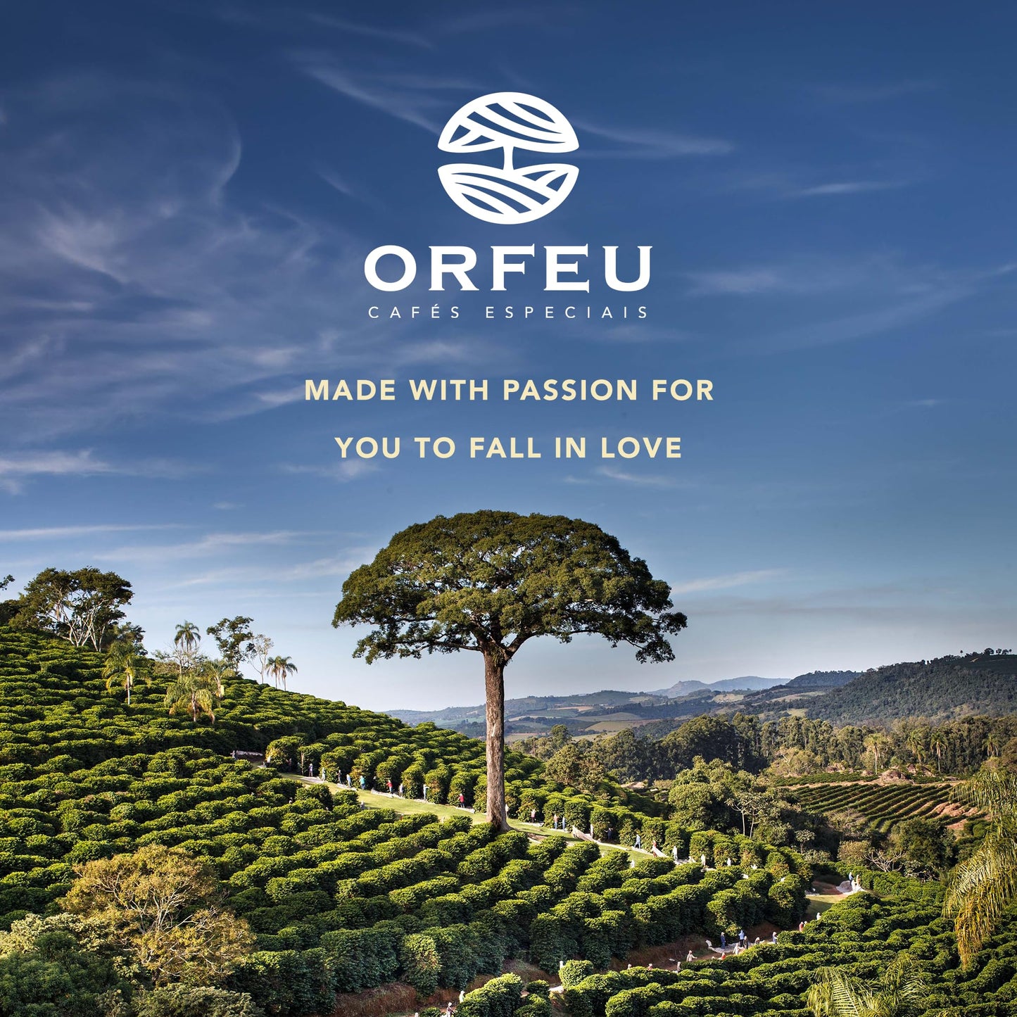 ORFEU - Special Coffee Intense - 100% Arabica Coffee, Dark Roast, Aroma of Toasted Caramel & Fruit Jam, Low Acidity, Made In Brazil, Velvety Body - 250g, 8.8oz