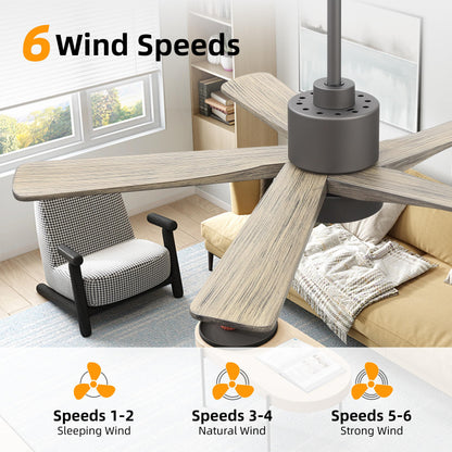 WINGBO 48 Inch DC Ceiling Fan with Lights and Remote Control, 5 Carved Solid Wood Blades, 6-Speed Noiseless Reversible DC Motor, Indoor Ceiling Fan in Graphite Finish with Gray Blades