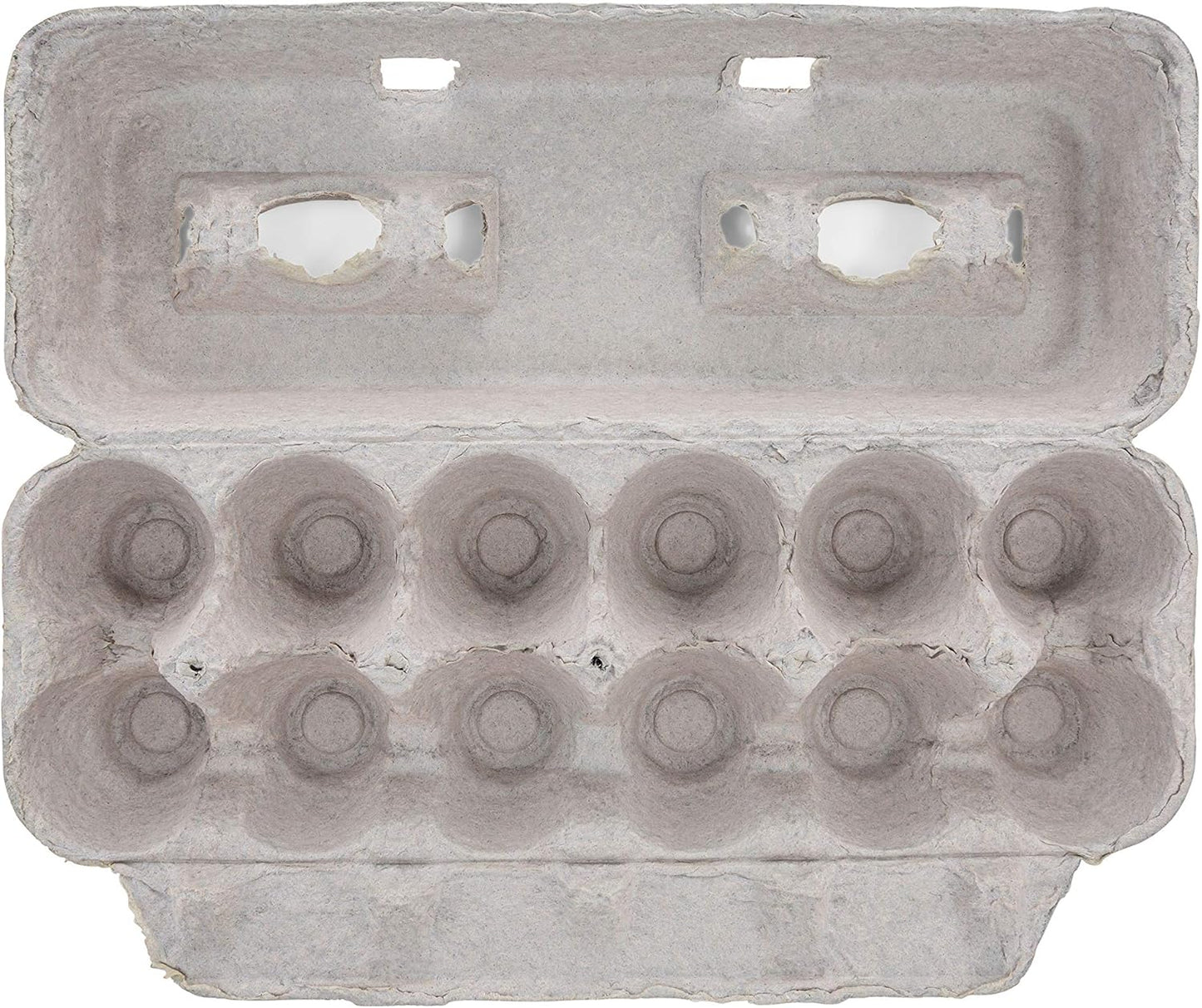 1 Dozen (Pack 25) MT Products Printed Natural Pulp Egg Cartons - Disposable Egg Storage Container of - Made in the USA
